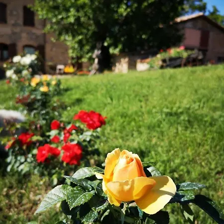 Da Foschetta * Matelica