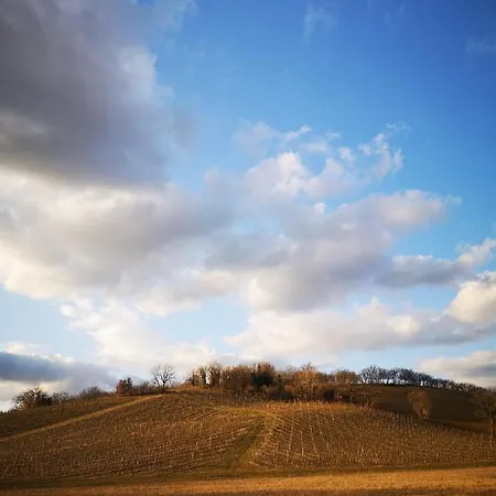 Da Foschetta Matelica