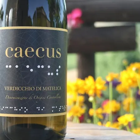 Da Foschetta * Matelica