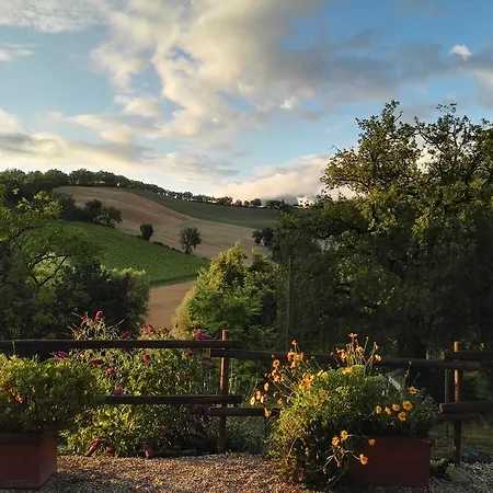 Da Foschetta Matelica