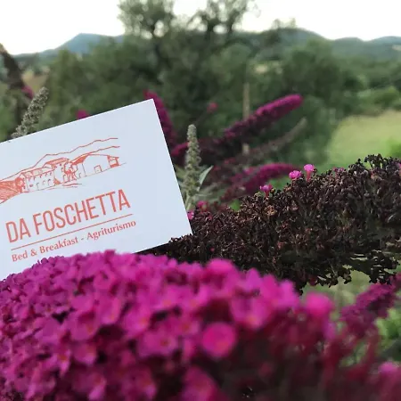 Da Foschetta Farm stay Matelica
