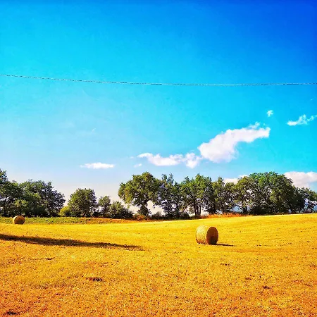 Da Foschetta Farma Matelica
